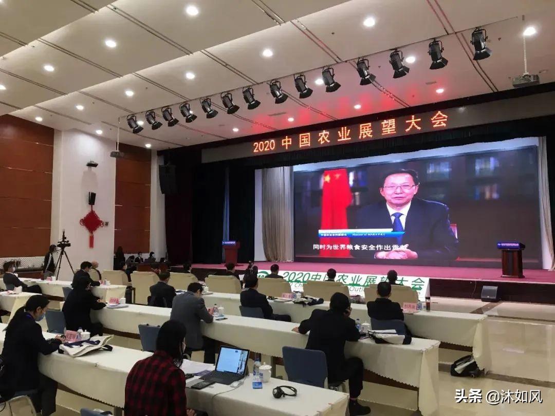 2025全年免费资料大全与定量解答的落实展望