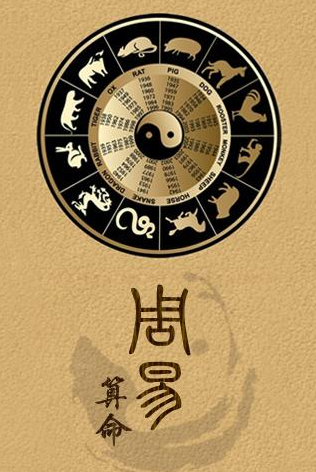 揭秘百分百准确一码一肖的神秘预测