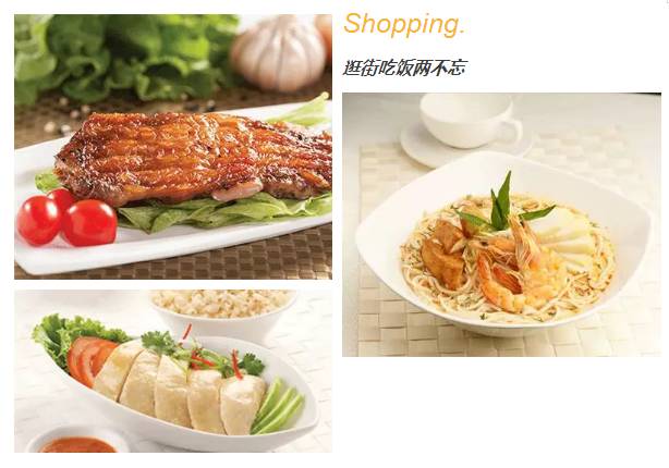 新澳2025最新资料大全餐饮篇，探索美食之旅与数字的魅力
