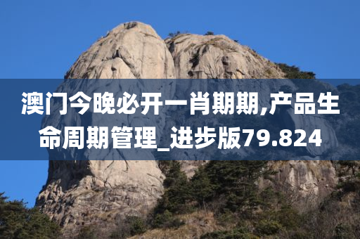 探索未来，2025年新澳全年资料深度解析与推荐