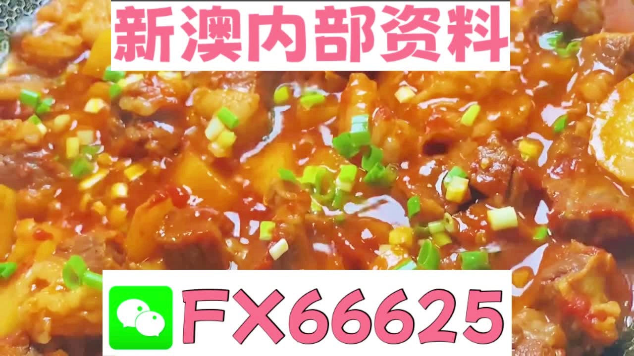 新奥2025年免费资料大全汇总，探索未来的关键资源