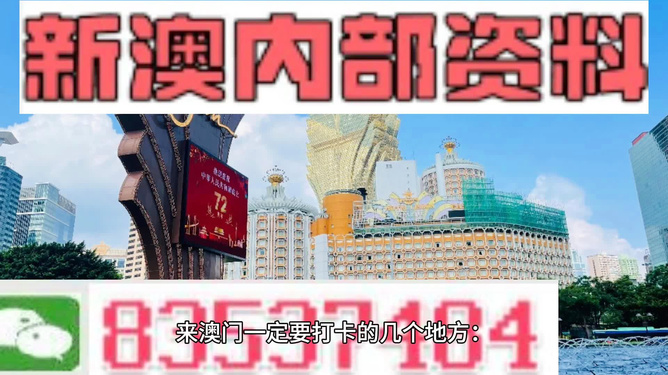 探索未来澳门，全面免费政策的释义、解释与落实