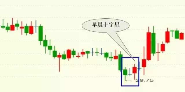 揭秘最准一码一肖，实用释义与现实解读
